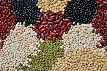Preparation different legumes organic for cooking