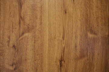 Texture of oak wood.