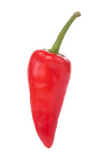 Red chili peppers on white background