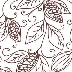 Hand drawing background of cocoa beans