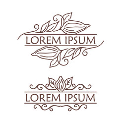 Hand drawing isolated cocoa beans.