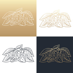 Hand drawing logo designes of cocoa beans.