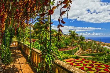 Madeira island, Botanical Garden Monte, Funchal, Portugal