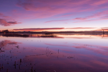 Sunrise Reflection at Bosque del Apache NWR New Mexico