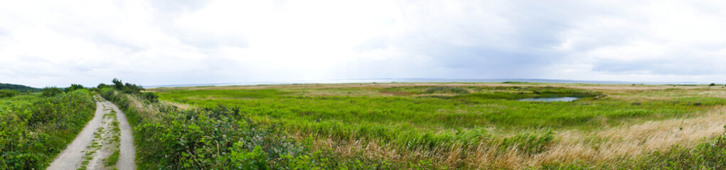 Ufer an der Ostsee im Panoramaformat