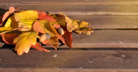 Herbstlaub auf Tisch