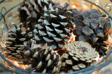 Dried natural pine cones in an ornate bowl conceptual of the Christmas Season