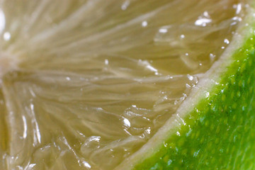 Limettenscheibe mit Schale