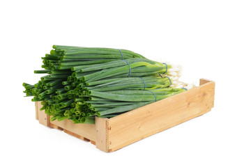 Lauchzwiebeln, Zwiebel