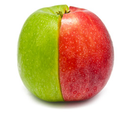 The creative apple combined from two half