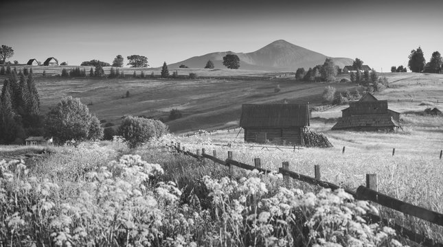 Fototapeta On a Hoverla hills. Monohrome