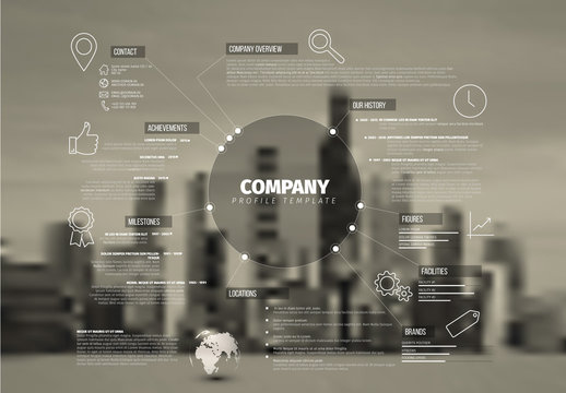 Company Profile Infographic