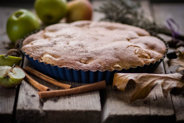 Homemade Organic Apple Pie Dessert Ready to Eat