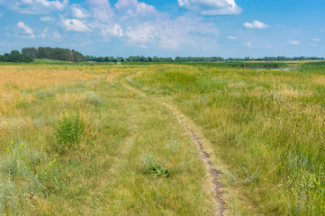 Ukrainian rural landscape with path leading to pond in summer meadow