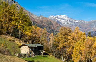Baita nel bosco - Autunno in Valtellina