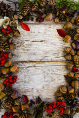 Frame with autumn cones, acorns and rowan on wooden background with space for text.