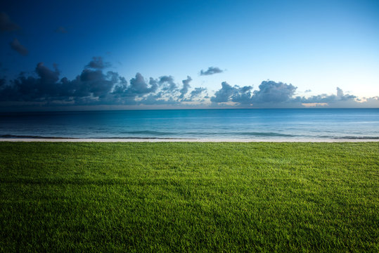Lush green lawn bordering a tropical beach