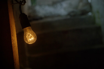 The bulb in the basement