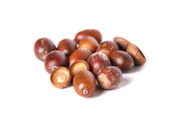 Acorns