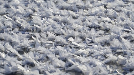 snow