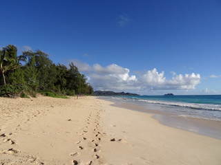 Fototapeta na wymiar Foot prints path in the sand on Waimanalo Beach