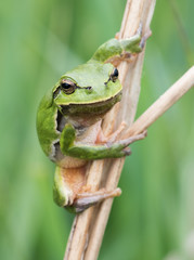 I'm Watching You Mate