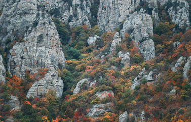 Obraz premium Rocks of mountain Demerdji