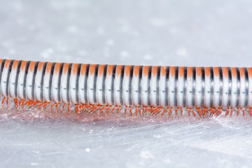 Closeup of a millipede on aluminum floor.