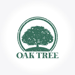 Green Oak Tree