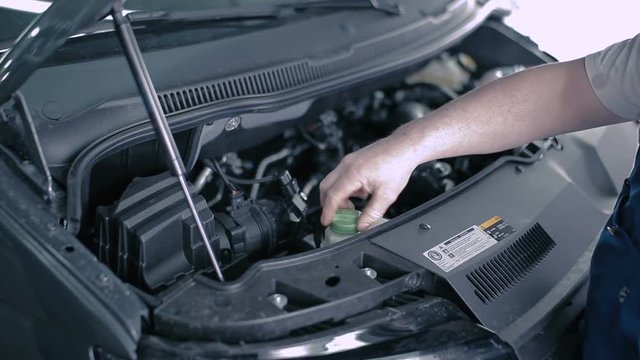 An employee checks the oil in a the client car.