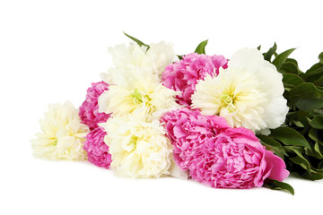 Bouquet of peony flowers isolated on a white