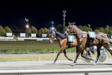 Night horse race competition, two horses head to head to the win