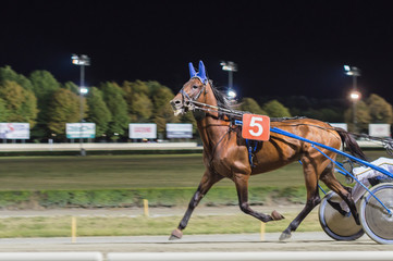 Panning effect - blurred picture night horse race background