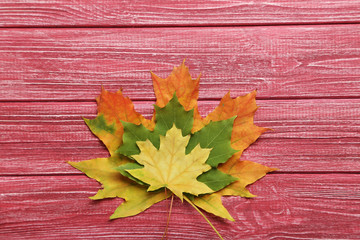 Naklejka na ściany i meble Autumn leafs on red wooden table
