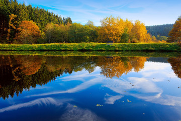 Autumn trees on the coast the lake.