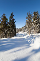 Fototapeta na wymiar Idyllische Winterlandschaft eines tief verschneiten Waldes