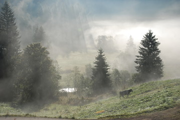 Bergnebel