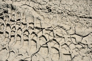 The texture of the dirt road, dry cracked earth.