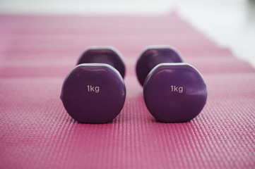 Obraz na płótnie Canvas Two purple dumbbells in the gym on the pink carpet 