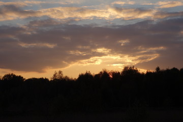 Sonnenuntergang im Rehdener Moor