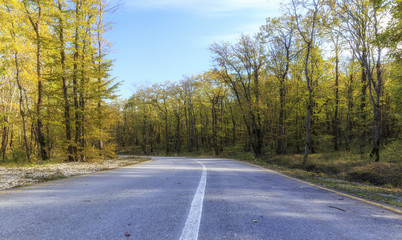 Forest road in the village Ghizil Ghazma.Azerbaijan
