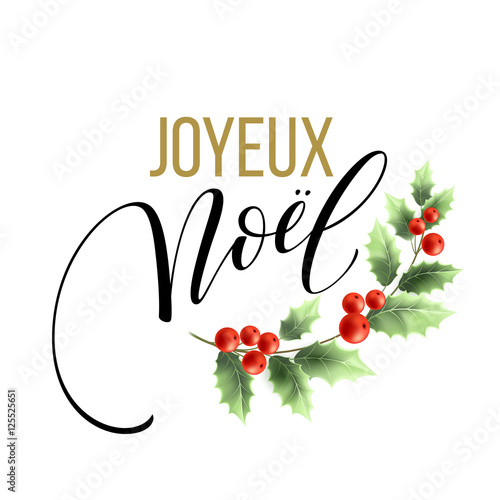 merry christmas card template with greetings in french language joyeux noel vector illustration - How To Say Merry Christmas In French merry christmas card template with greetings in french language joyeux noel vector illustration - How To Say Merry Christmas In French