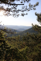 Mountains covered with fir in a frame  of fir branches. Nature Croatia 2
