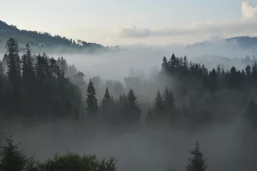 Selbstklebende Fototapete Wald im Nebel Nebeliger Morgen