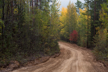 Country road in the autumn forest. Baikal taiga. Buryatia. Russia.