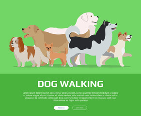 Dog Walking Concept Flat Style Vector Web Banner 