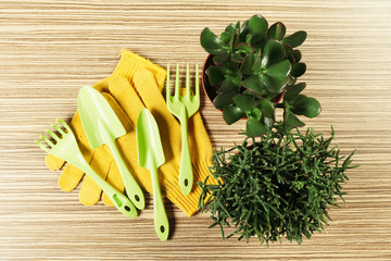 composition of garden tools