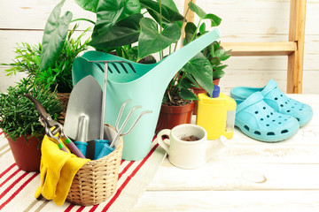 composition of garden tools