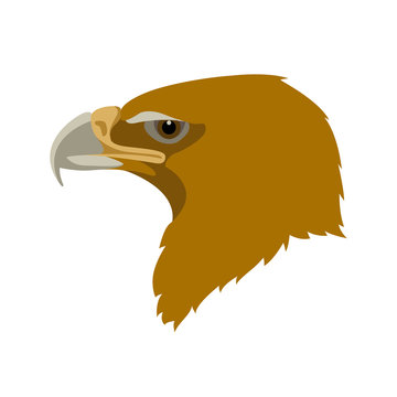 eagle head face vector illustration style Flat