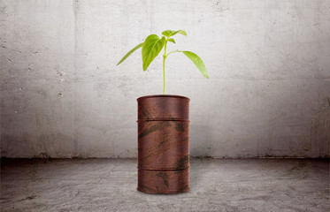 The plant growing out of brown barrell